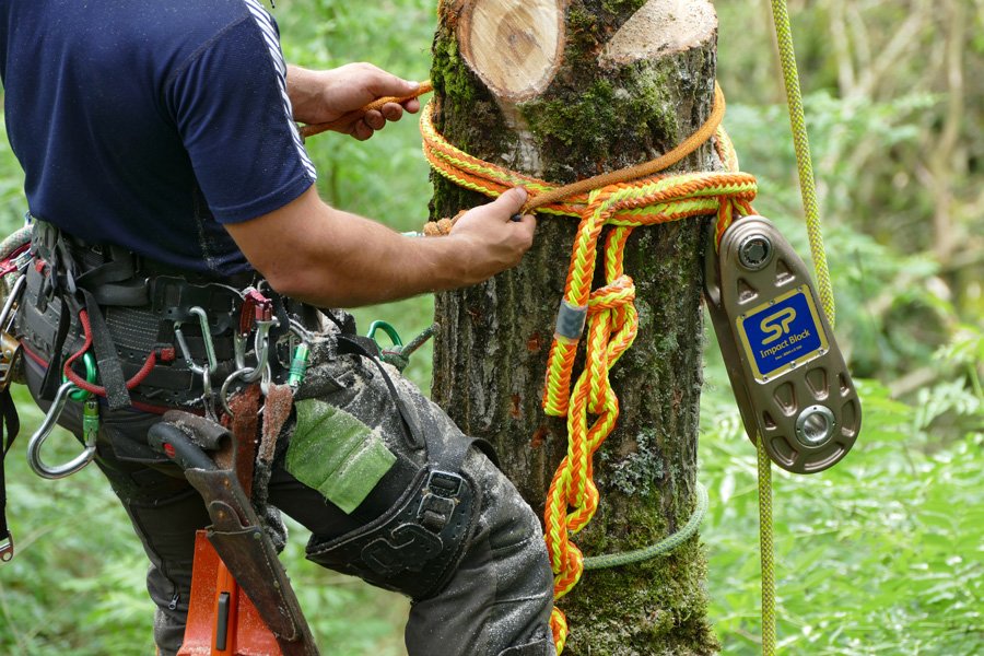 Comprehensive Arborist Solution